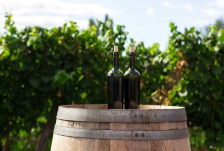 Taste Estate-Bottled Sparkling Wines with Breathtaking Views