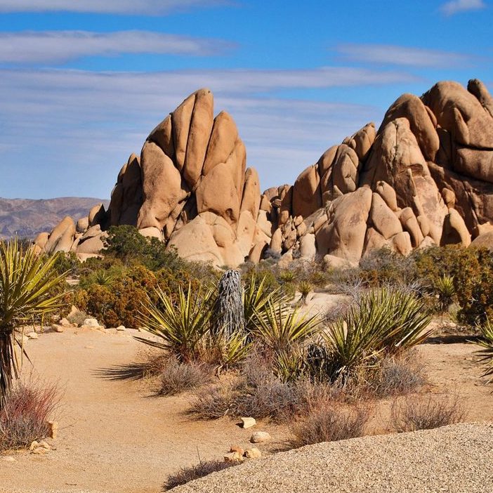All About Joshua Tree National Park 1200x750 1