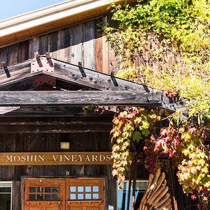 Welcome To Moshin Vineyards
