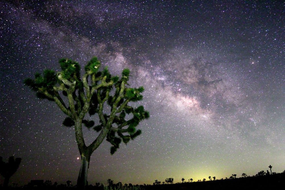 Joshua-Tree-Stargazing
