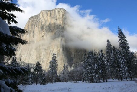 Winter Favorites Yosemite