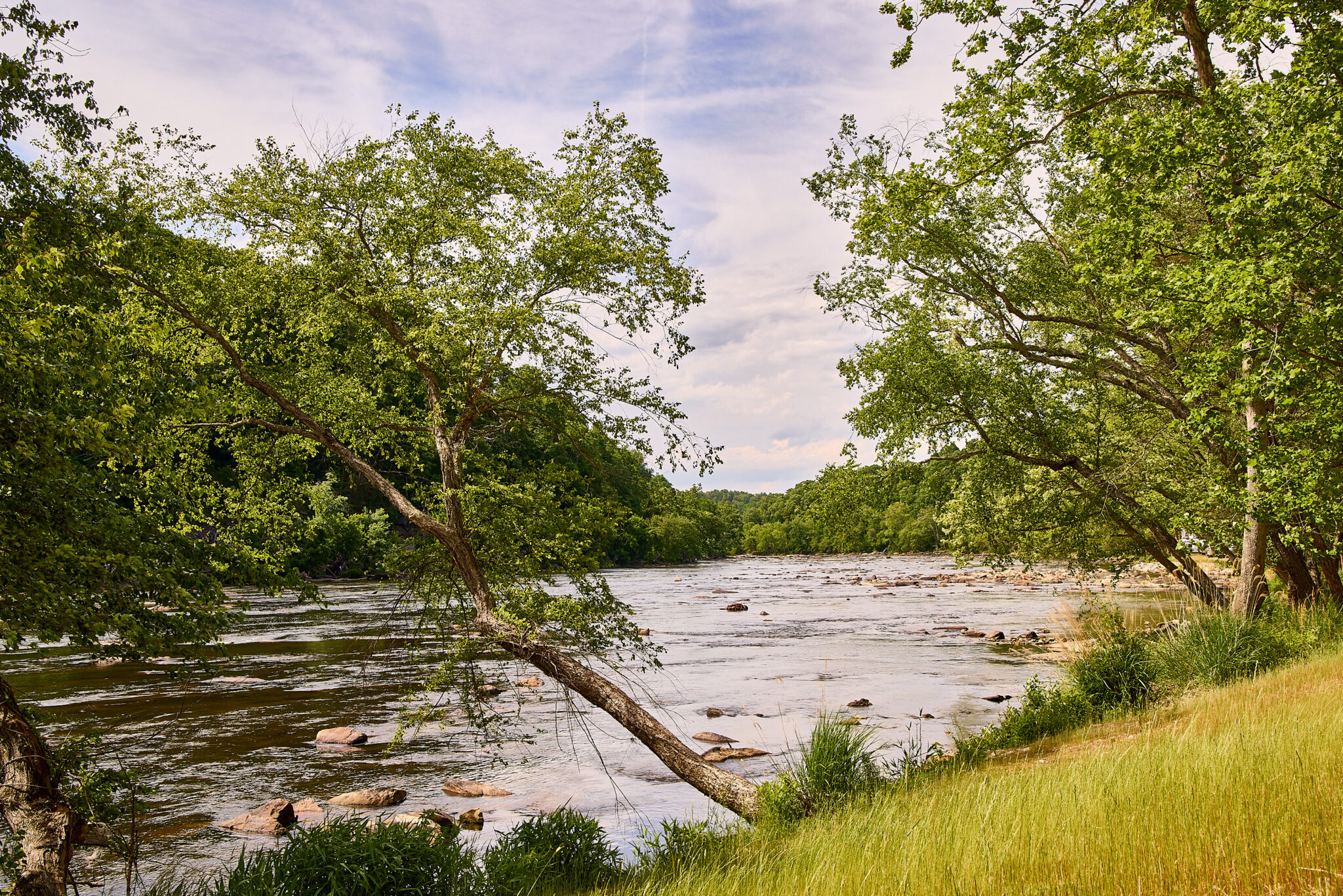 View of French Broad River from AutoCamp Asheville