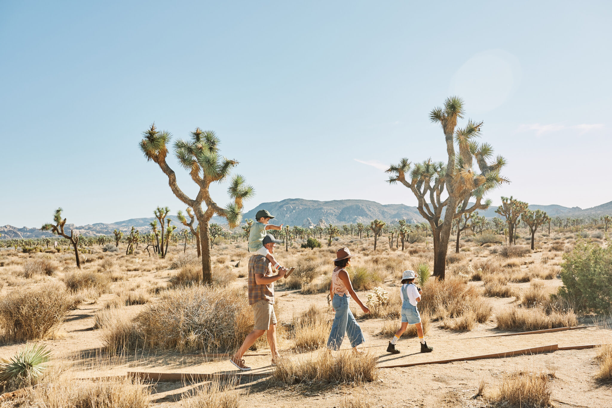 Family walking through Joshua Trees