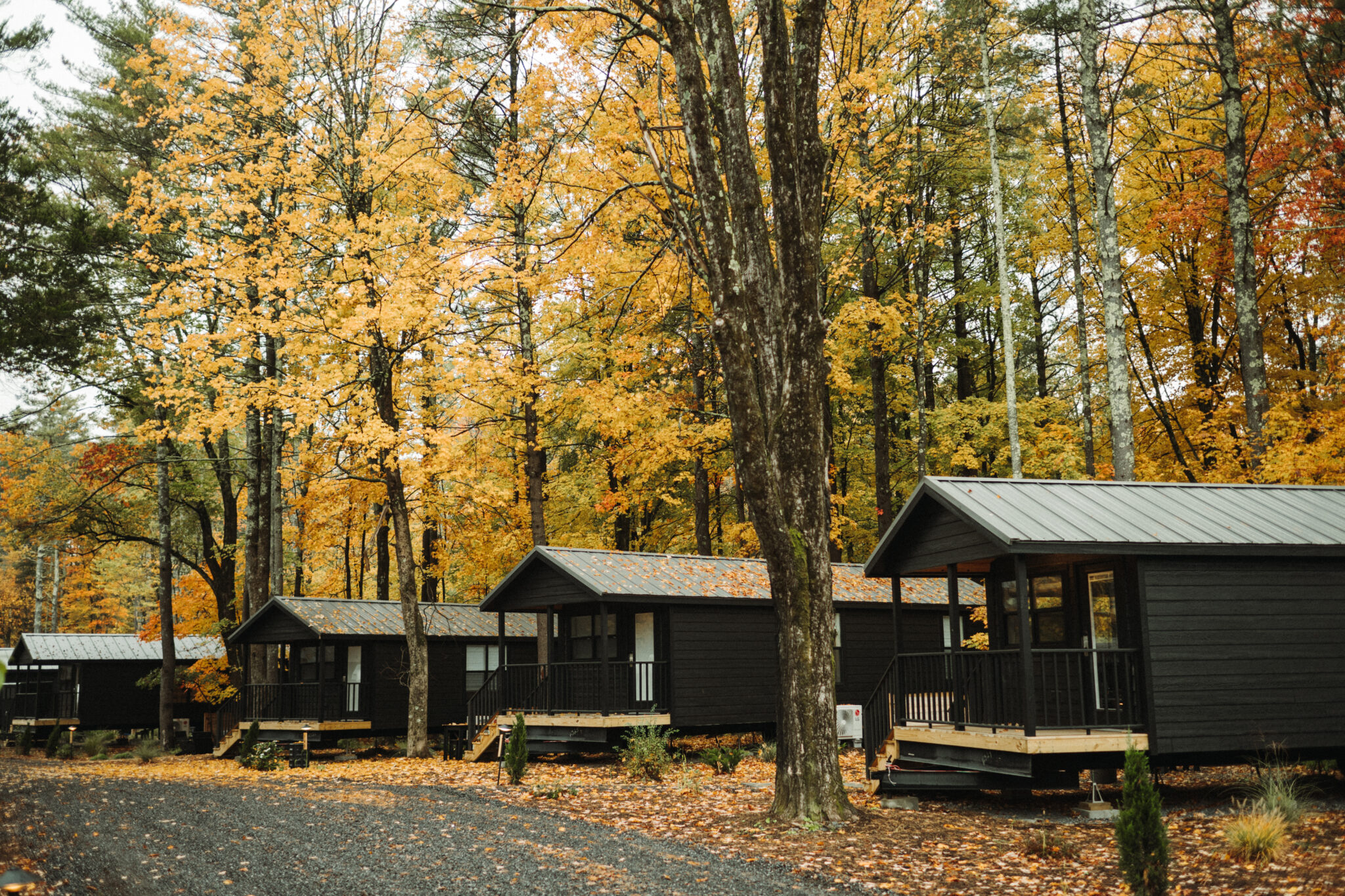 AutoCamp Catskills family cabins in fall