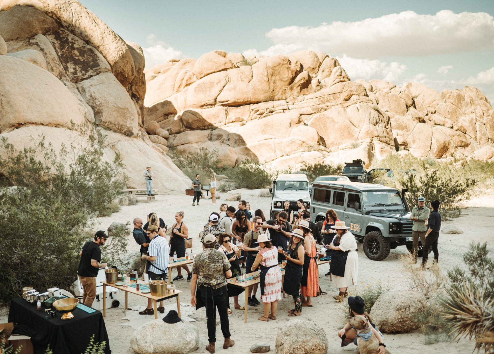 Group gathered together in Joshua Tree National Park