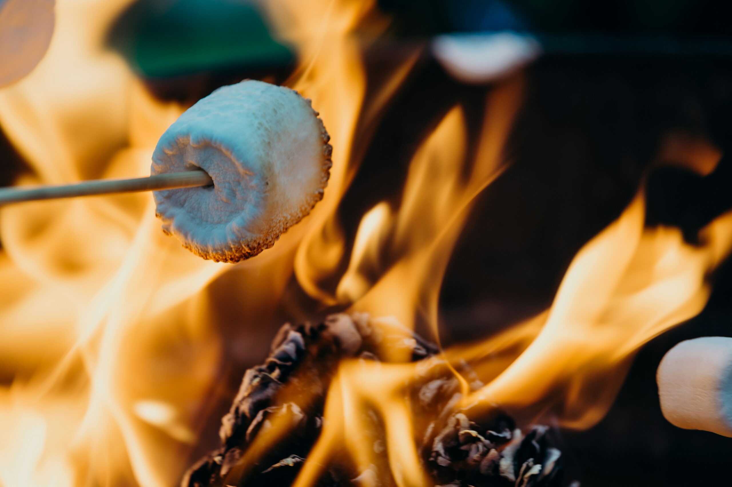 Roasted marshmallow over campfire