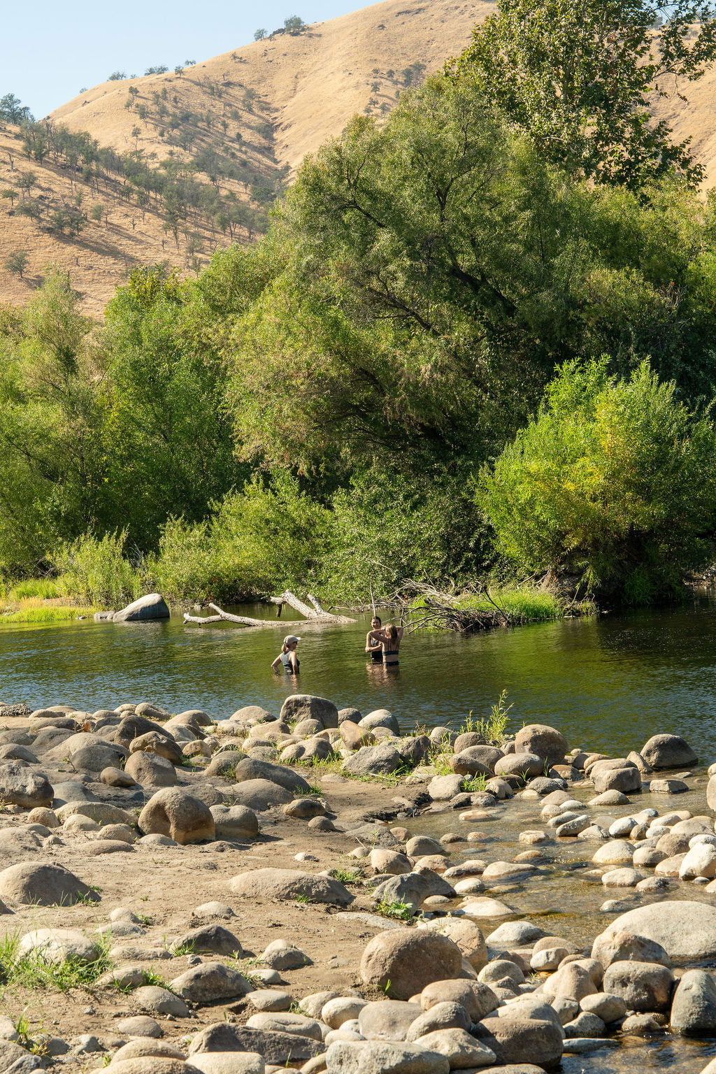 Friends standing in the river talking