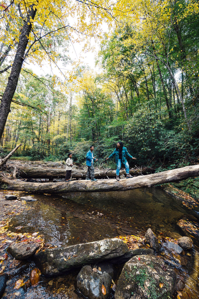 Hiking near Asheville