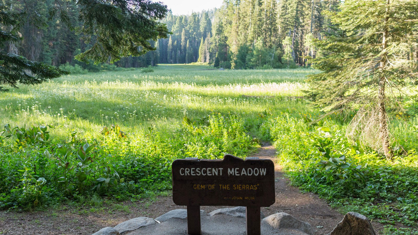 Meadow picnic area