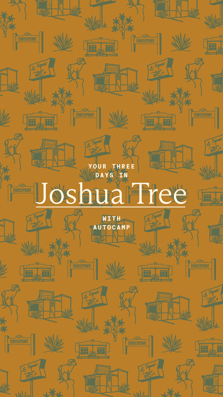 Joshua tree icon imagery with text 