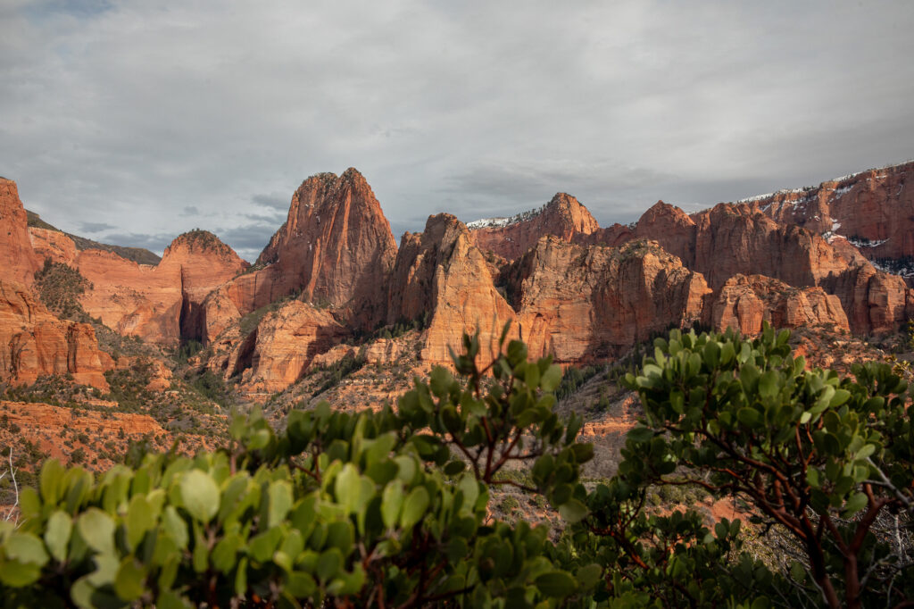 photo of red rock mountains with low lying greenery in the forefront