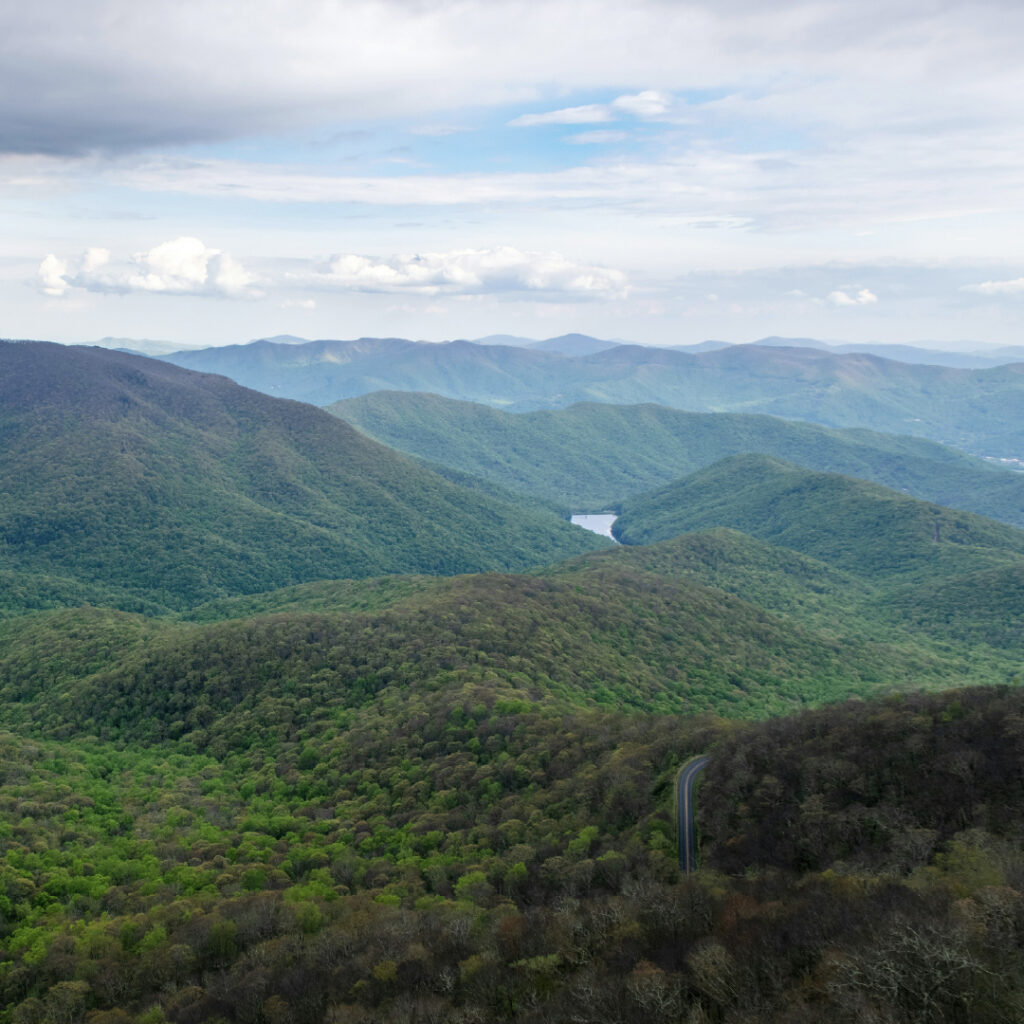 Asheville landscape lush green mountains