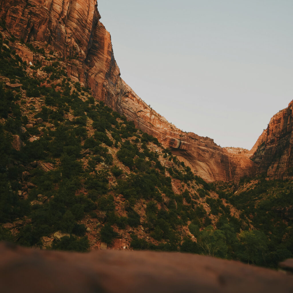 Zion red rocks landscape