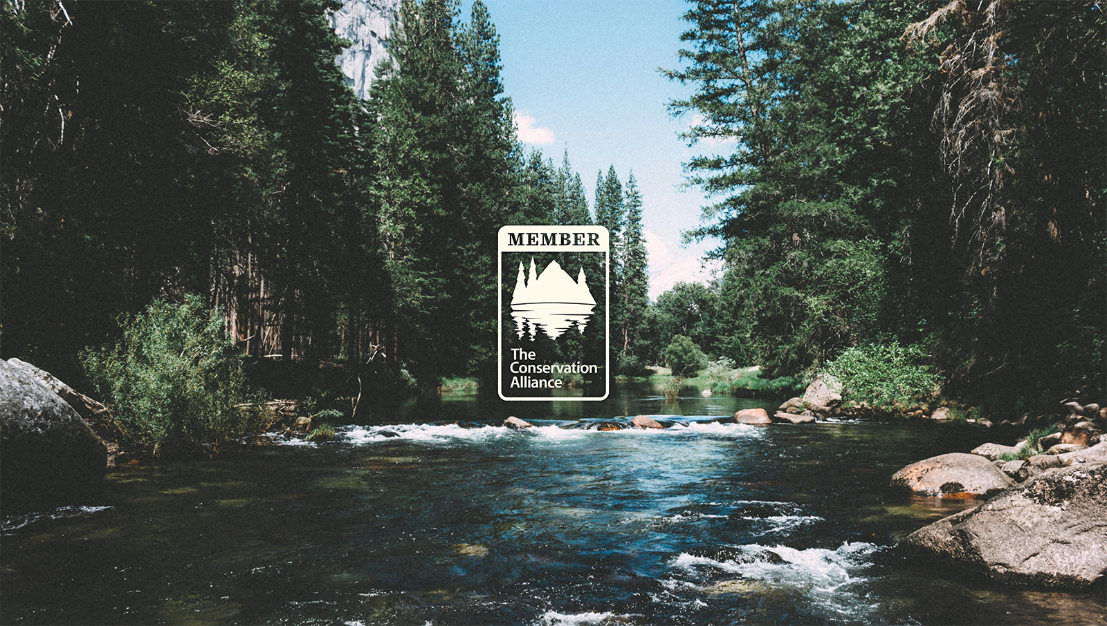 River flowing through pine trees with TCA logo