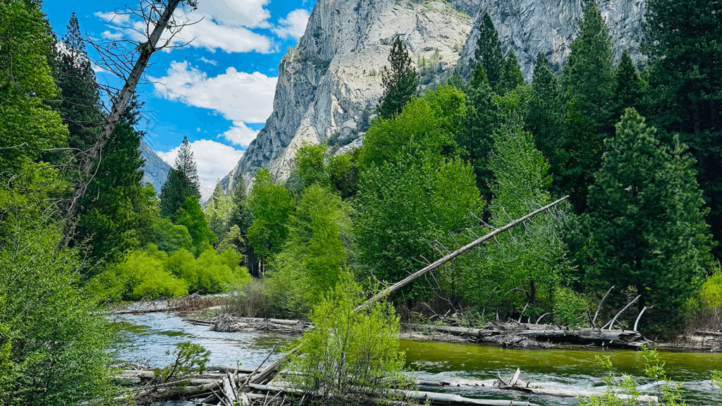 Three Rivers, California