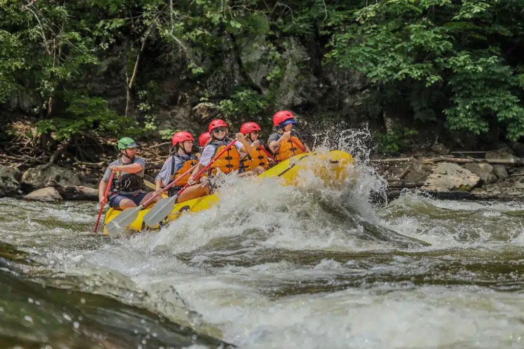 Group white water rafting