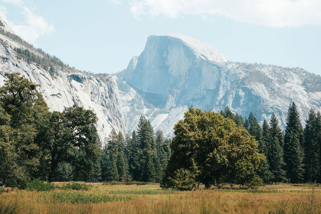 View of large mountain with trees in the forefront