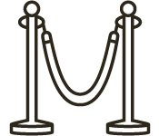VIP access icon