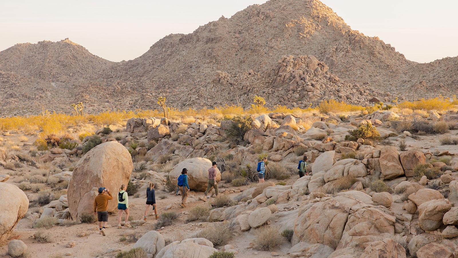 A group of friends hiking in the desert in a single line