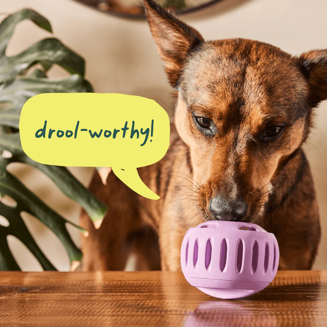 Woof Pupsicle